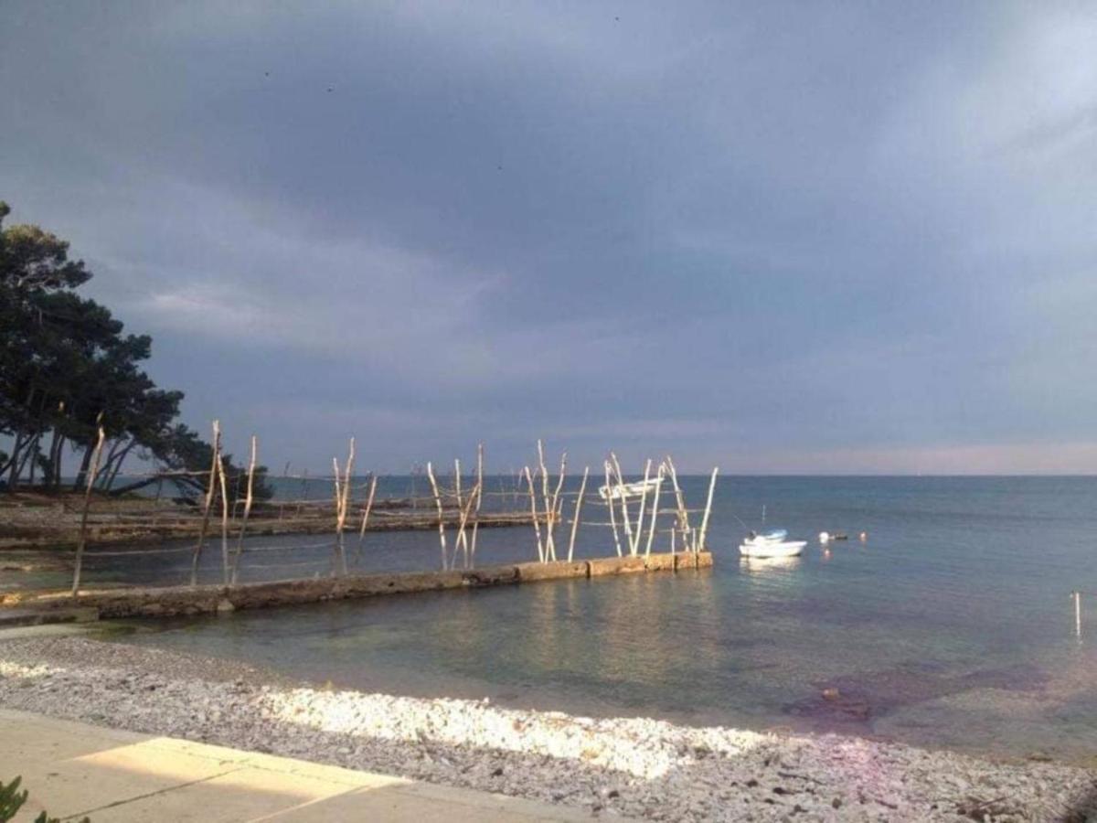App Enterprise Umag Διαμέρισμα Εξωτερικό φωτογραφία